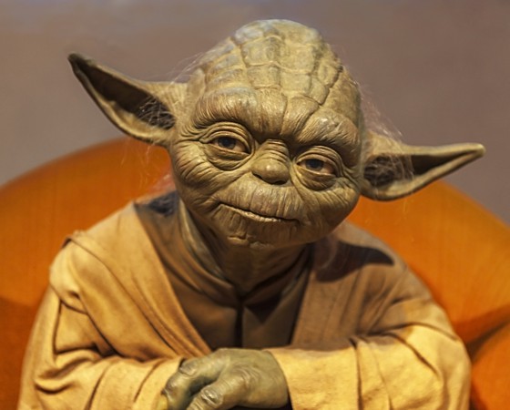 Yoda looking cute
